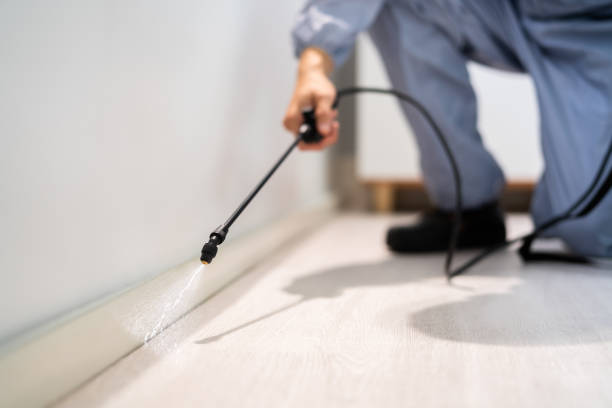 Licensed Pest Control service in Solvang, CA - Show Me Pest Control