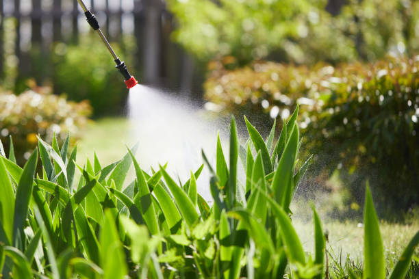 24/7 Emergency Ant Control experts in Solvang, CA